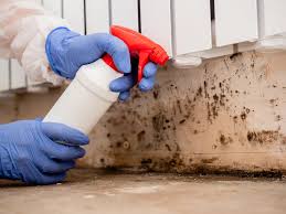 Best Forensic Mold Investigation in USA